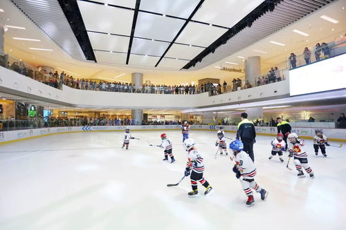 冬日陽光下的時髦心事 運動項目經營者的城事隨想