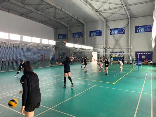 豐臺區青少年運動隊暑期集訓圓滿收官，項目經營助力體育人才儲備