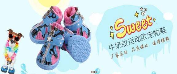 廣州市寵陽寵物用品與本公司正式簽署網(wǎng)站項目合作，開啟運動項目經(jīng)營新篇章